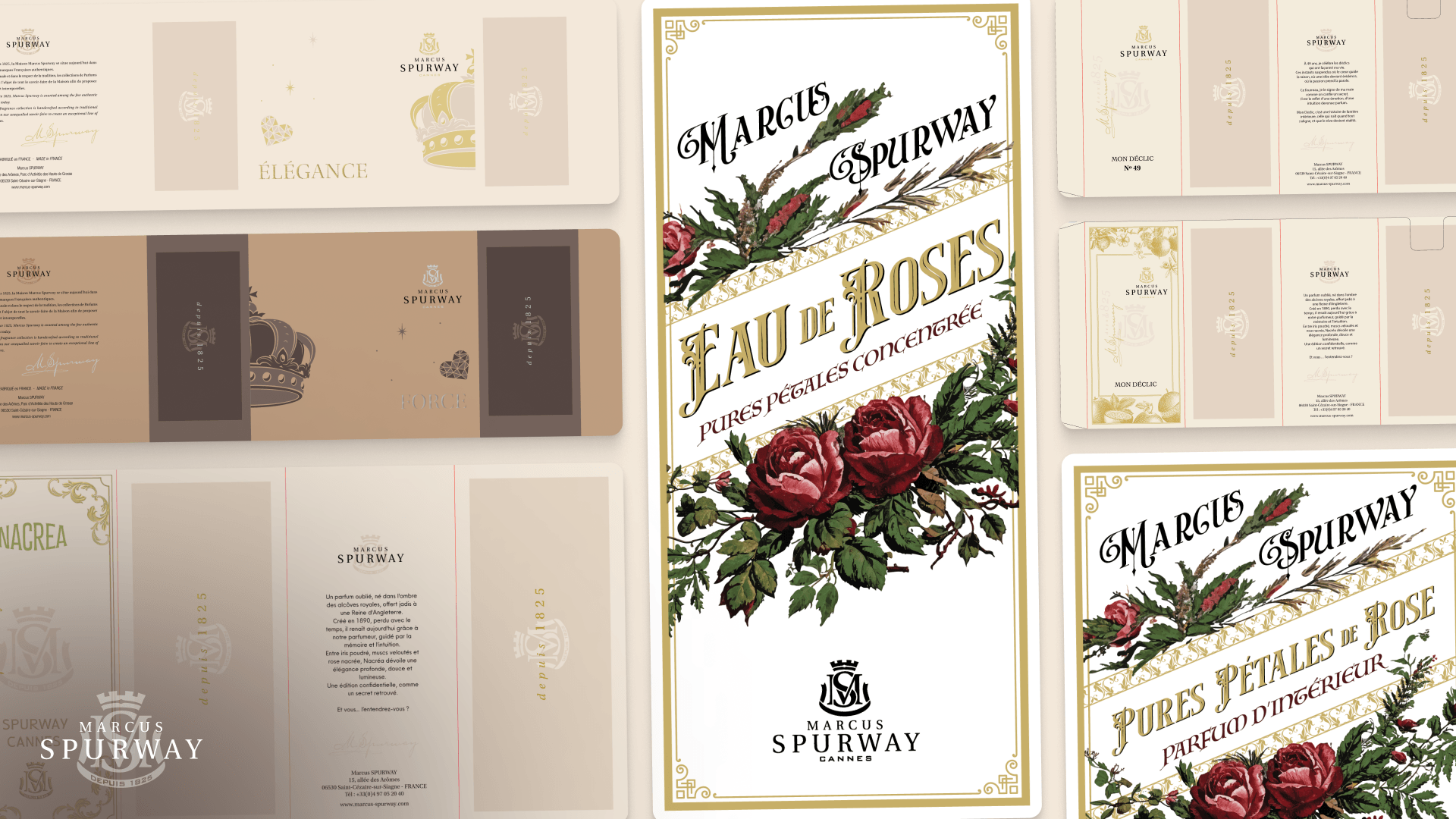Image d'en-tête du cas client Marcus Spurway & Club Parfum par Design Elite