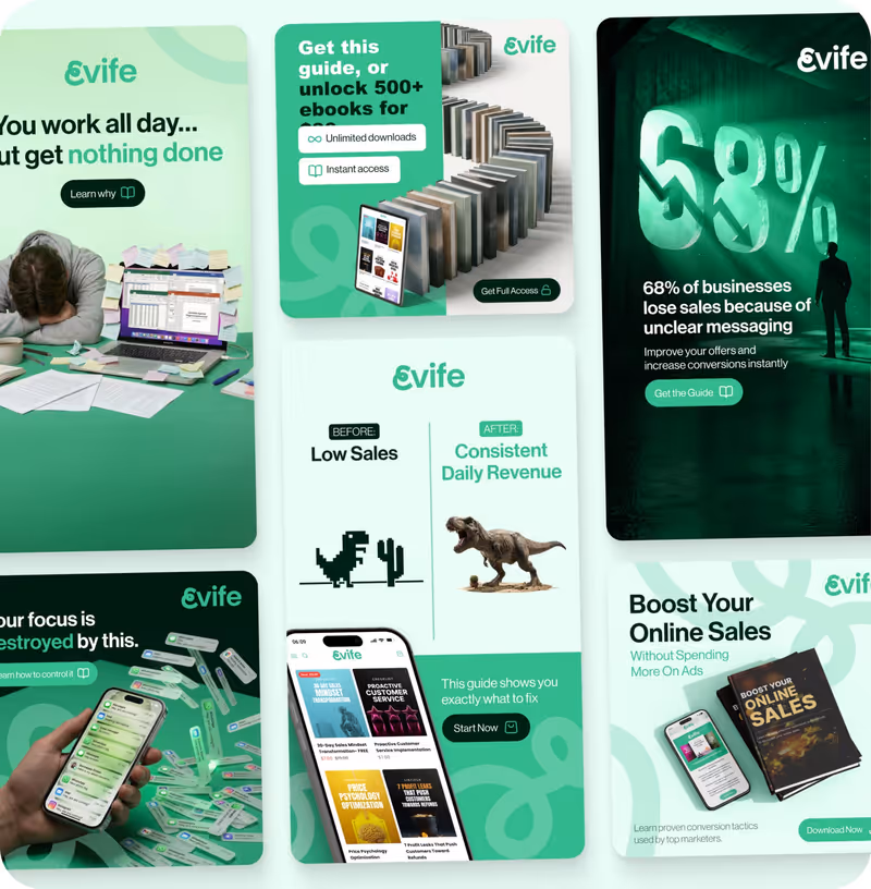 Projet Evife réalisé par Design Elite